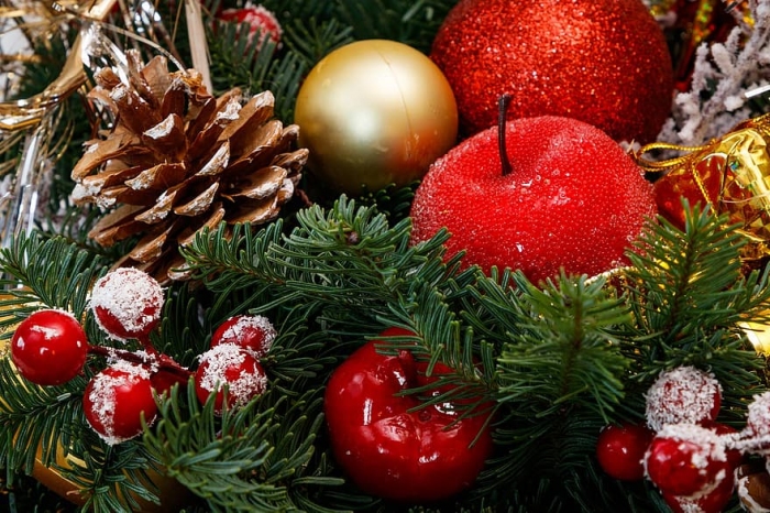 Homeopatie a očista organismu